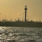 Private Dolphin & Sightseeing Boat Day Tour - What You Can Expect on the Day