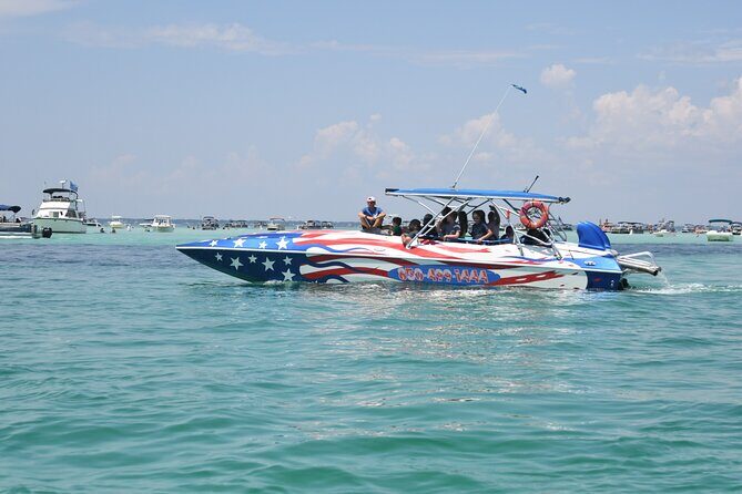 Private Dolphin Spotting Thrill Ride in Destin - The Real Deal with Reviews