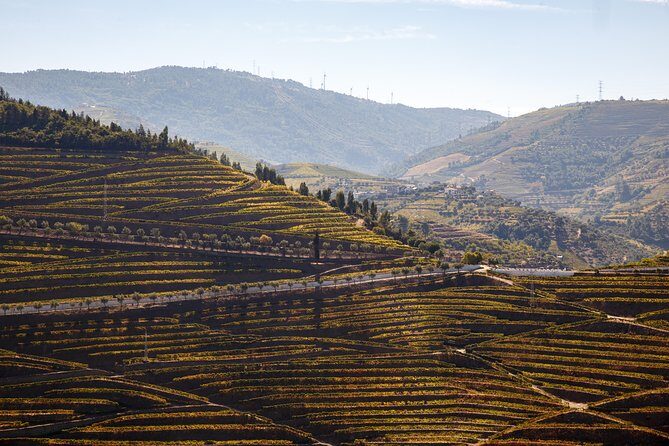 Private Douro 4x4 Adventure from Porto - What Travelers Love About This Tour