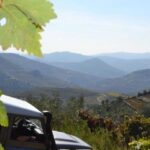 Private Douro Valley 4WD Tour with Wine Tasting and Picnic - What We Love About This Tour