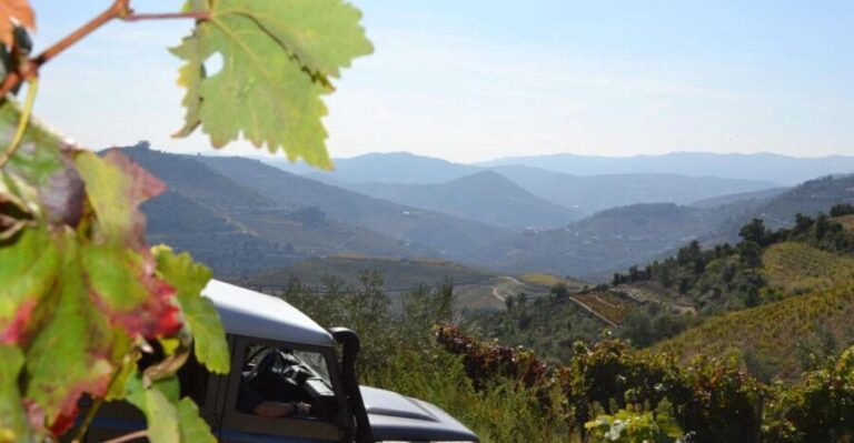 Private Douro Valley 4WD Tour with Wine Tasting and Picnic - What We Love About This Tour