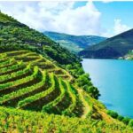 Private Douro Valley Food and Wine Tour From Porto - FAQs