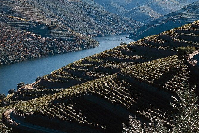 Private Douro Valley Tour Includes Wine Tasting and Boat Tour - An in-depth look at the Douro Valley Tour
