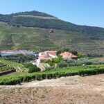 Private Douro Valley visit to three vineyards with Lunch from Porto - Who Would Enjoy This Tour?