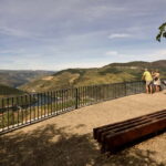 Private Douro Wine Experience - Full Day in the Douro Valley - The Experience from Travelers’ Perspectives