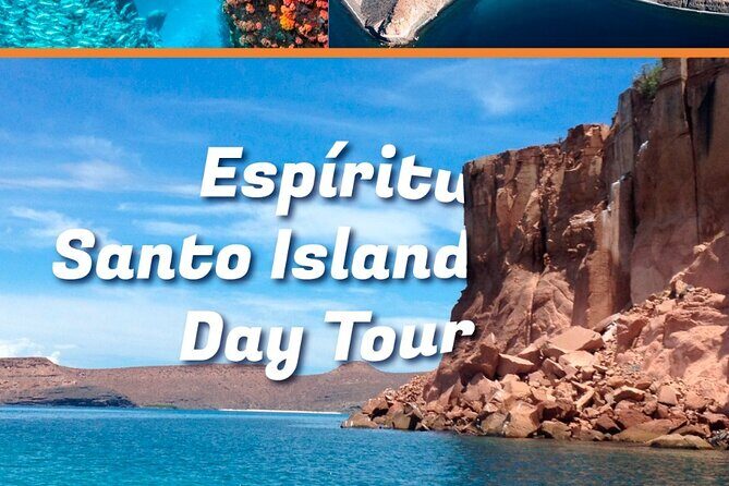 Private Driver english spoken - Final Thoughts