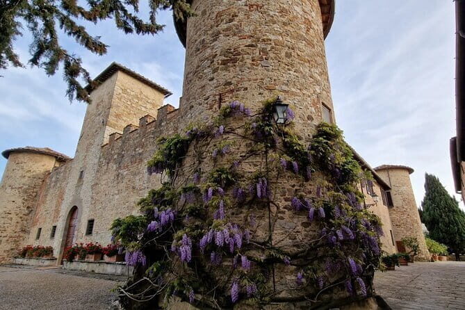 Private driver Florence Wine Tour countryside of Tuscany 7 hours - What’s Included and What to Keep in Mind