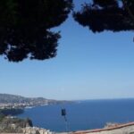 Private Driver VIP Tour of Sorrento & its food delicacies - What You Can Expect From the Experience