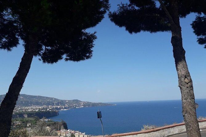Private Driver VIP Tour of Sorrento & its food delicacies - What You Can Expect From the Experience
