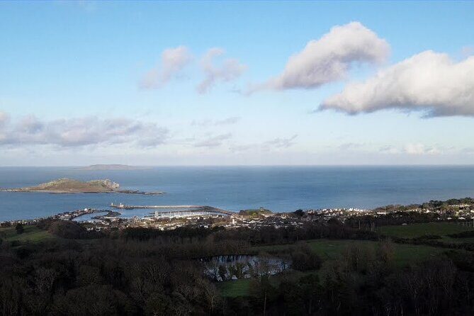 Private Dublin City tour - Transportation and Timing