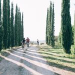 Private E-bike tour in Chianti from Siena - The Review We Can Trust