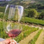 Private E-bike Tour " Langhe del Barbaresco " - Asphalt only - FAQ