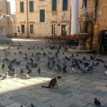 Private Early Morning Dubrovnik Tour - Frequently Asked Questions