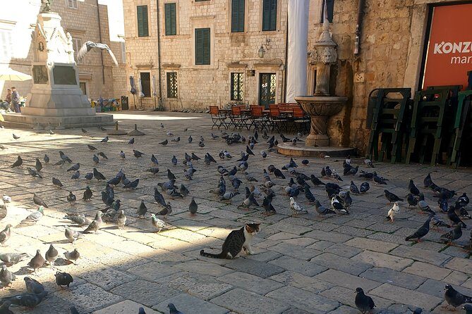 Private Early Morning Dubrovnik Tour - Frequently Asked Questions