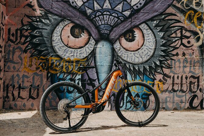 Private ebike tour Ibiza (northern highlights route) - Authentic Reviews and Insights