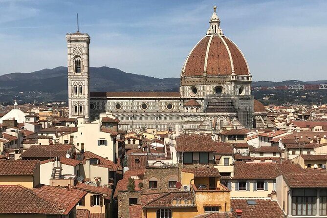 Private educational and guided custom tours by walk and by confortable M/B van - Pricing and Value