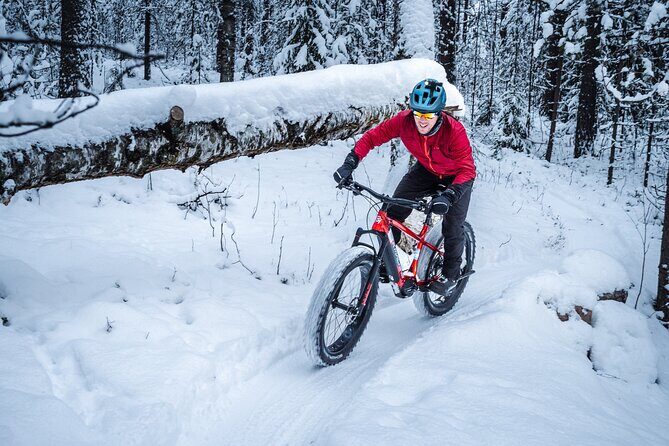 Private Electric Fat Bike Winter Tour in Rovaniemi - The Real Value in This Experience