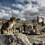 Private Ephesus,irince,Virgin Marry House Tour - What to Expect from the Tour