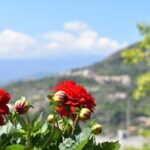 Private Etna tour with lunch in traditional "Trattoria" with organic food - The Scenic Stops and Their Significance