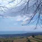 Private Etna tour with wine tasting and lunch - Authentic Traveler Feedback