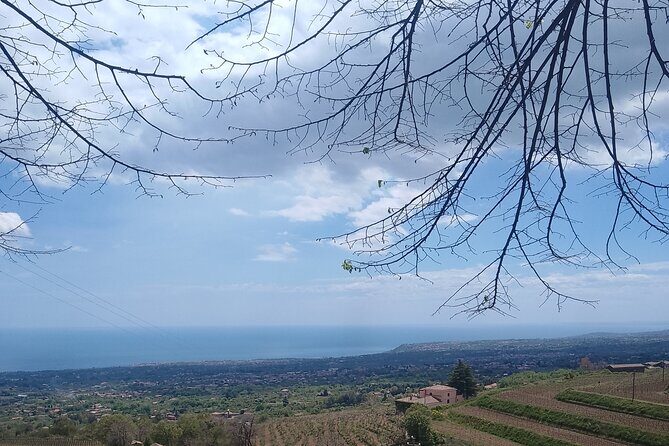 Private Etna tour with wine tasting and lunch - Authentic Traveler Feedback