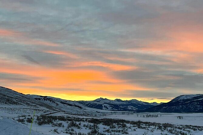 Private Evening/Sunset Wildlife Encounter Tour - The Itinerary: What You Can Expect