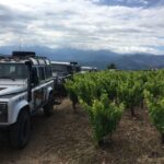 Private Exclusive Manousakis Winery and Vineyard Tour - Who Will Love This Tour?