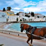 Private Excursion at Spetses Island - Who Should Consider This Tour?