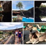 Private excursion in Lanzarote, minibus and guide available - What We Love About This Experience