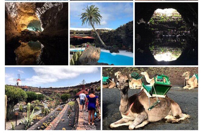 Private excursion in Lanzarote, minibus and guide available - What We Love About This Experience