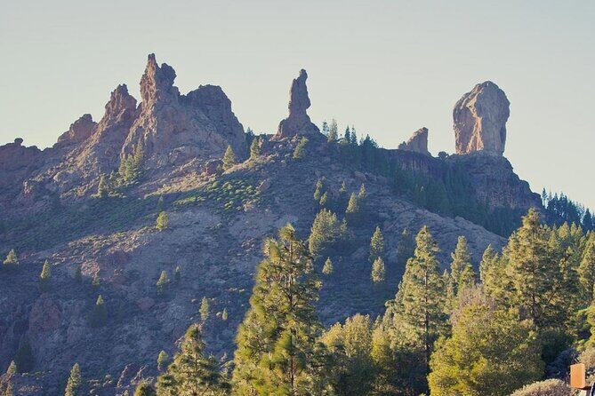 Private Excursion The mountains of Gran Canaria for 2 to 4 people - What Travelers Say
