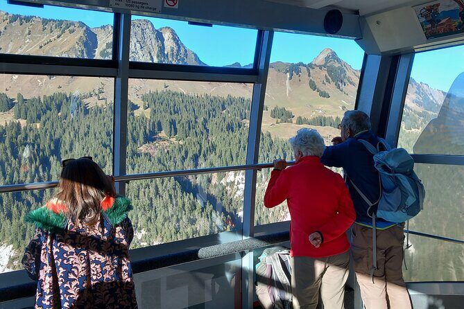 Private Excursion to Glacier 3000 - Who Is This Tour Best For?