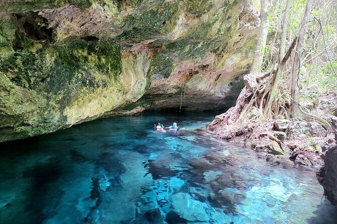 Private experience 5 cenotes at Riviera Maya - What Makes This Tour Stand Out?