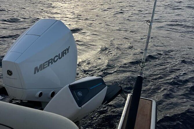 Private Experience - day of fishing on the Bari coast - The Experience and What You’ll Actually Do