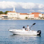 Private Family Dolphin Tour in Pore - What to Expect from the Dolphin Tour