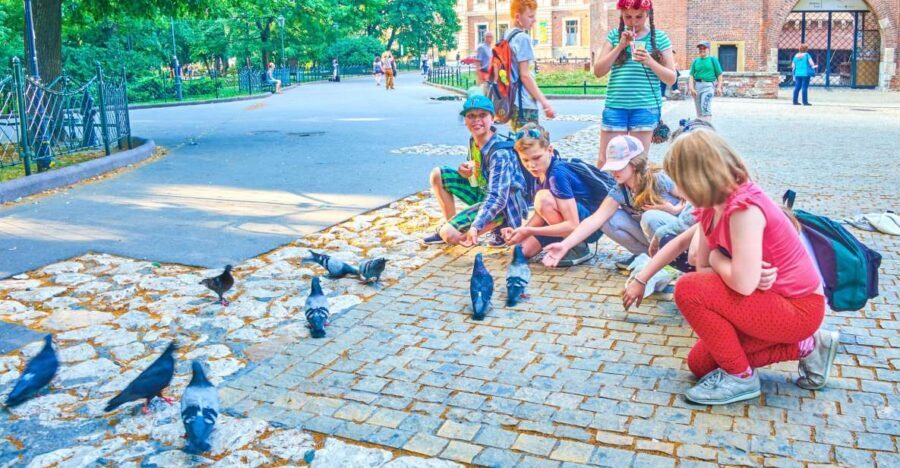 Private Family Tour of Krakow Old Town with Cruise Tickets - The 3-Hour Option: A River Cruise to End the Day