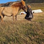 Private Farm Visit in West Iceland & Silver Circle Daytour - The Price and Value