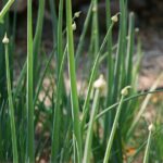 Private Farm Workshop in Napa Valley - The Itinerary: How does the day unfold?