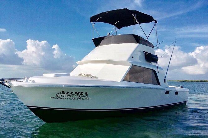 Private fishing charter Bertram 31ft 6 pax max if you don't fish you don't pay - Exploring the Details of This Cancun Fishing Adventure