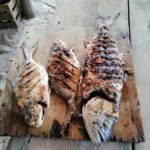 Private Fishing Tour in Holbox Island with Lunch and Pick up - Final Thoughts