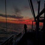 Private Fishing Tour - Sunset (transportation included) - Is This Tour Worth the Price?