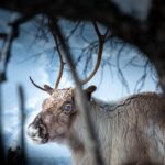 Private fjord tour with premium 4×4 vehicle - The Itinerary in Detail