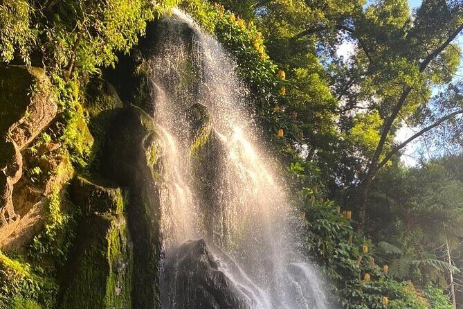 Private Full-Day 4x4 Tour to Nordeste & Povoaçao - The Value of the Tour and Who It’s For