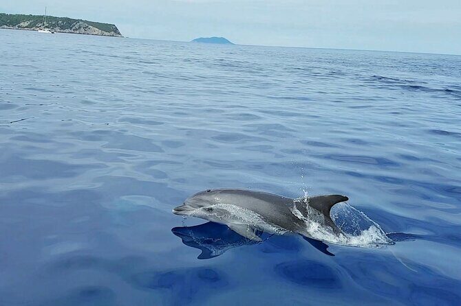 Private Full Day Boat Tour from Trogir - Create Your itinerary - Practical Details: What to Expect