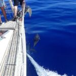 Private Full Day Cruise Tour in Naxos Town - Final Thoughts: Is It Worth It?