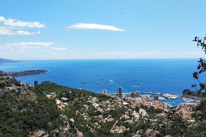 Private Full-Day French Riviera sightseeing Tour - Value and Practicalities