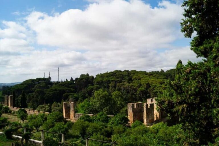 Private Full-Day Tomar Tour with Local Guide + Lunch - The Details: How It All Comes Together