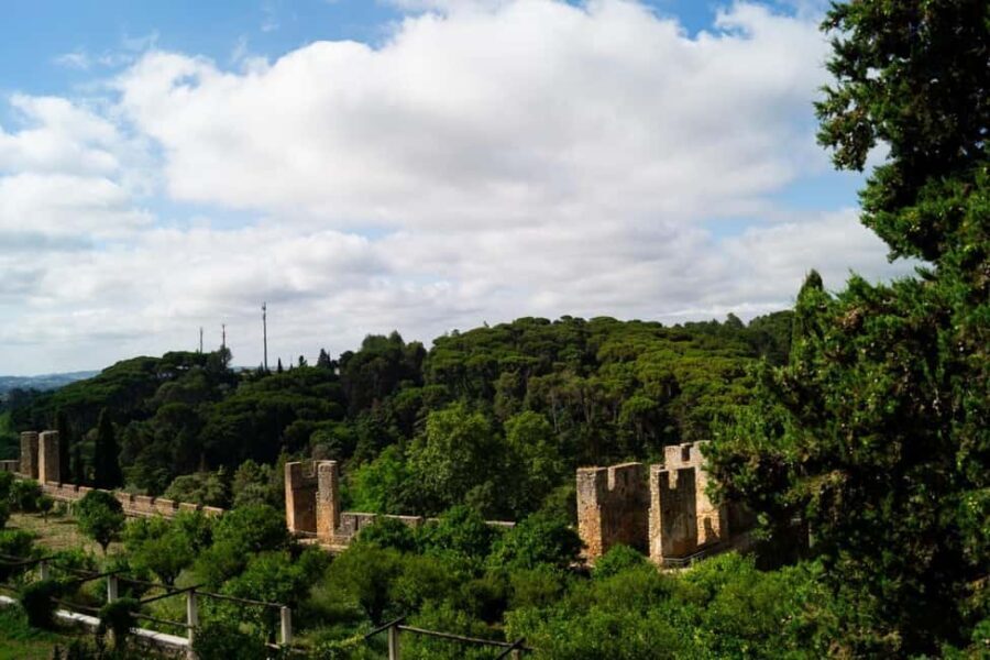 Private Full-Day Tomar Tour with Local Guide + Lunch - The Details: How It All Comes Together