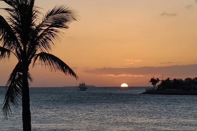 Private Full-Day Tour of Florida Keys from Key Largo to Key West - The Experience: What’s Included and How it Works