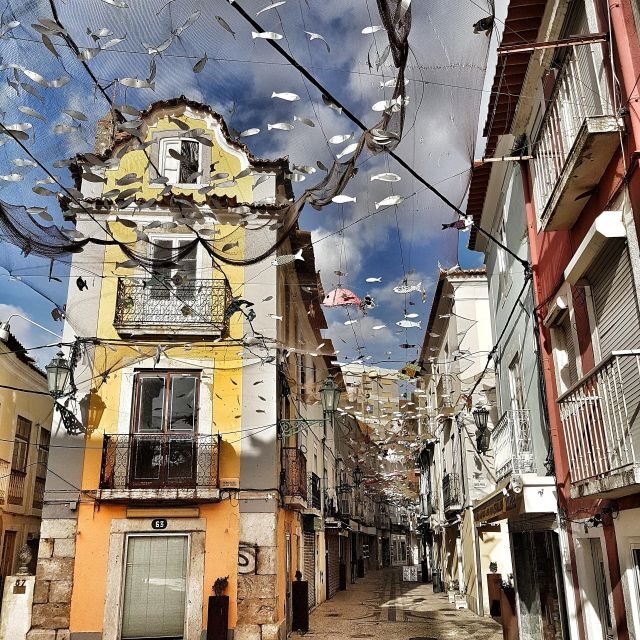 Private Full Day Tour Setubal - What Makes This Tour Stand Out?